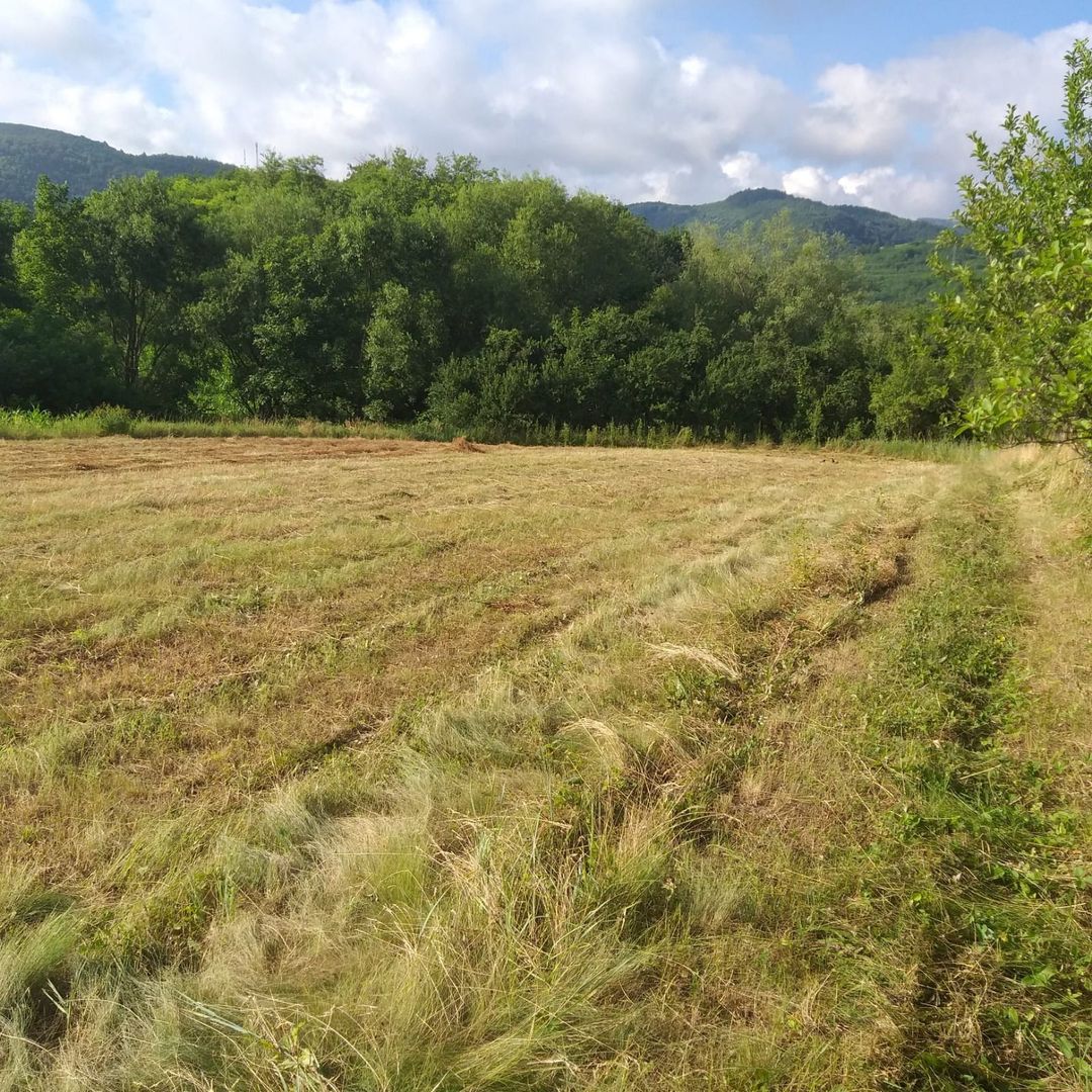 Teren Sasca Română-1079 mp - Poză 7