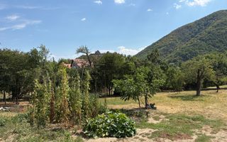 Teren intravilan de vânzare i 1180 mp i Cisnădioara - Poză 1