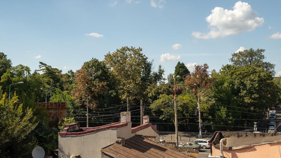 Cotroceni - Carol Davila, Townhouse 232 Mp - Oportunitate Rara - Poză 8