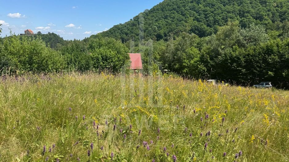 Teren intravilan 4600mp - 55 EUR/mp - EXCLUSIVITATE CISNADIOARA - COMISION 0% - Poză 13