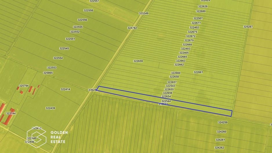 Teren agricol, 14 630 mp, Vladimirescu, ZERO COMISION - Poză 2