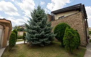 Vila cu piscina, 6 camere, 254mp utili, 815mp teren, com. Berceni - Poză 50