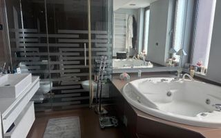 VANZARE PENTHOUSE SPECTACULOS OTOPENI |  355 MP | - Poză 8