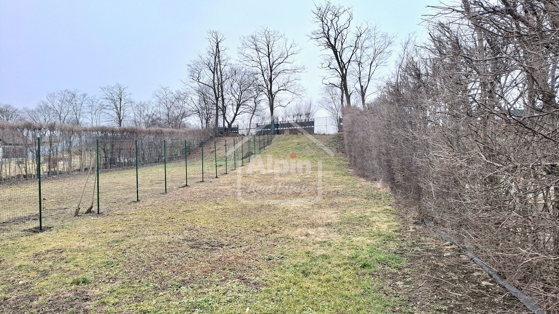 Duplex Zona Linistita Carpinis - Poză 7