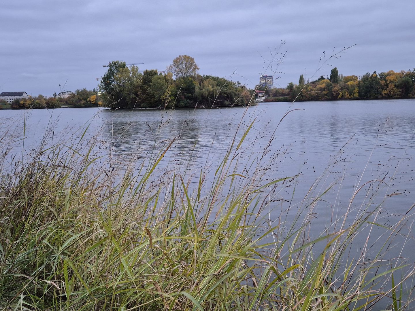 Green Lake | Lacul Baneasa | Sisesti | Vila cu 4 apartamente - Poză 26