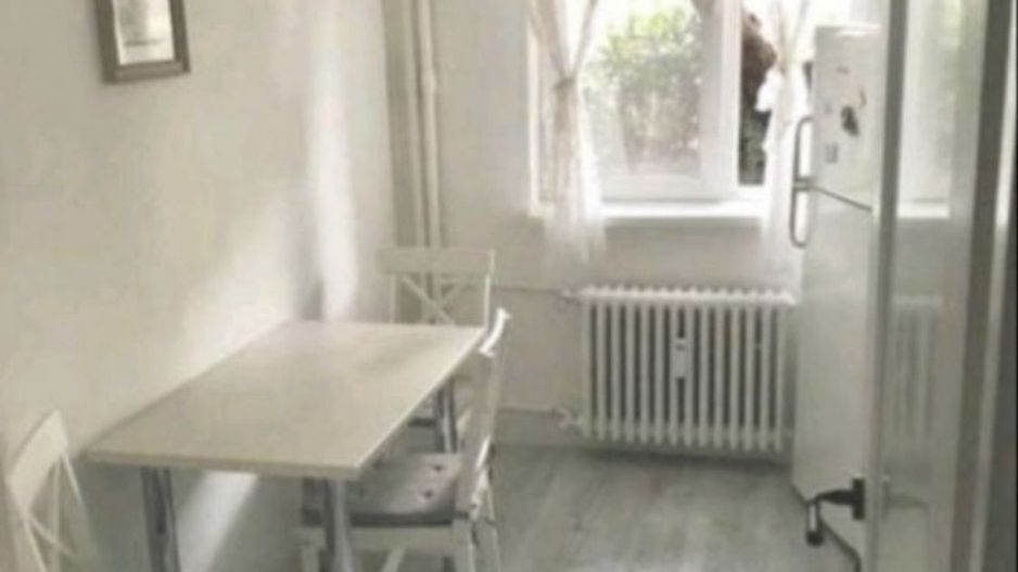 Apartament piata Brotacei - Poză 5