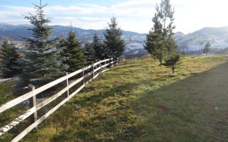 In locatia de basm: - Pestera, Moieciu, Brasov, utilitati, accesibilitate - Poză 4
