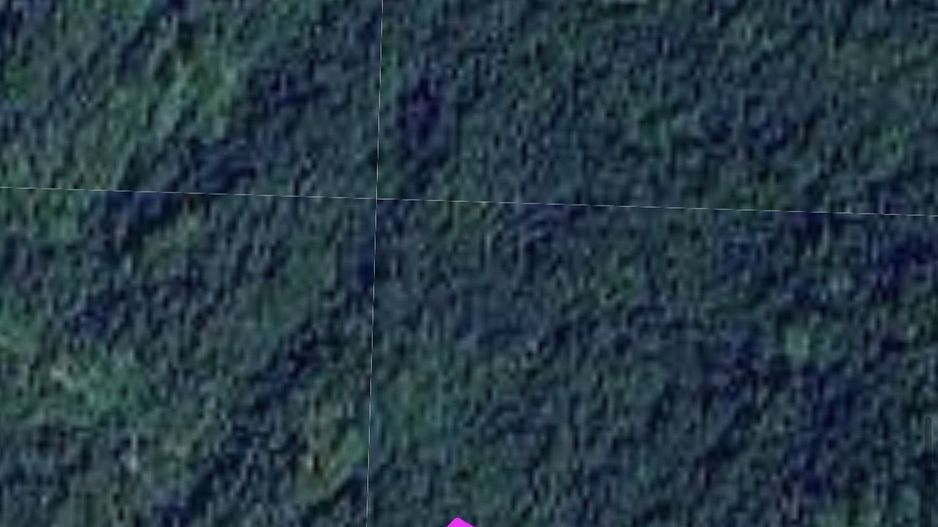 Teren pădure 64000 mp Pietroasa spre Boga - Poză 4