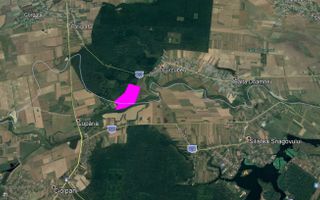 teren Balta Doamnei - Poză 1