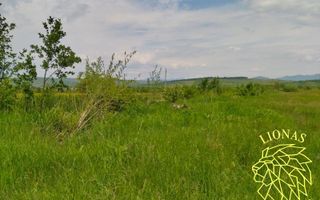 Teren 13100 mp-parcelabil-ideal cabana/agricultura-Orheiul Bistritei - Poză 2