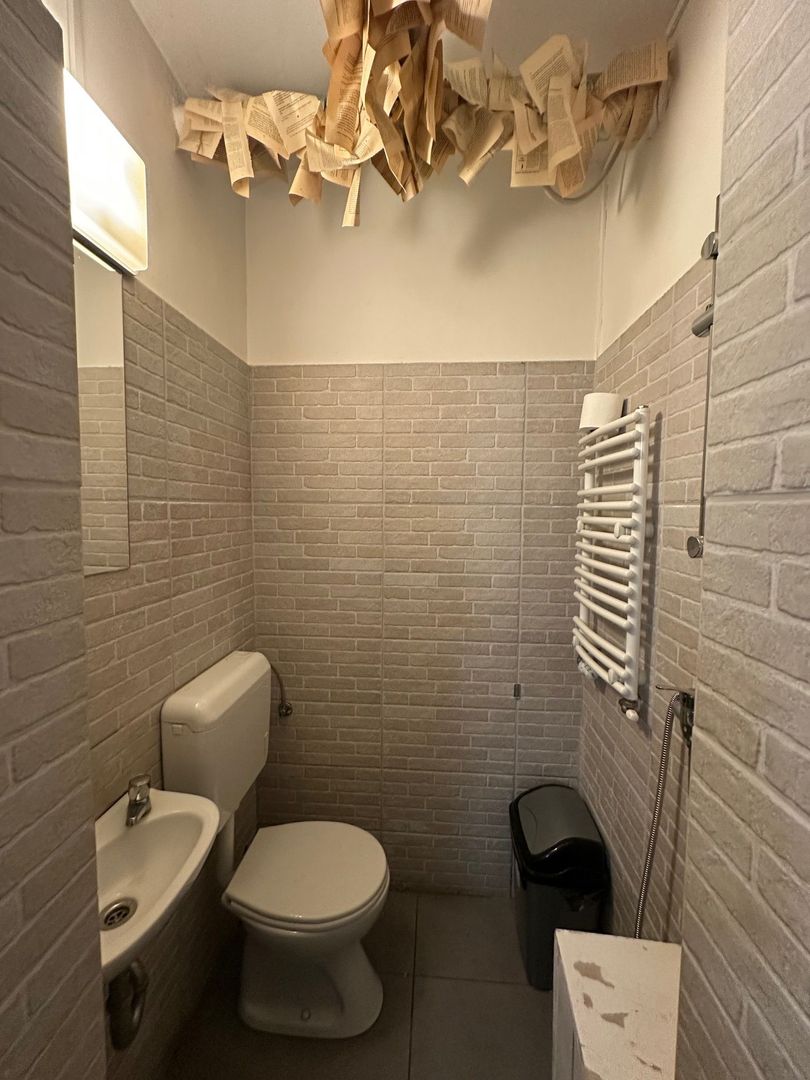 Spatiu comercial în Piața Unirii - 155 mp - Poză 25