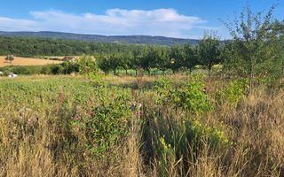 Teren intravilan de vânzare în Mogoșești, cu deschidere la stradă - Poză 1