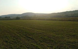 Teren 5500 mp-oportunitate investitie-pretabil cabana-Jelna - Poză 3