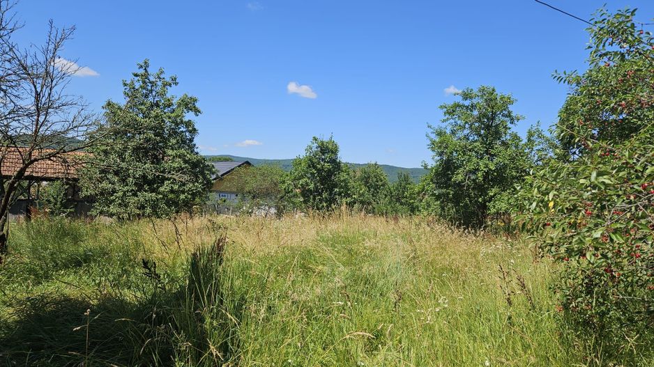 Vanzare teren intravilan, Zigoneni - Curtea de Arges - Poză 1