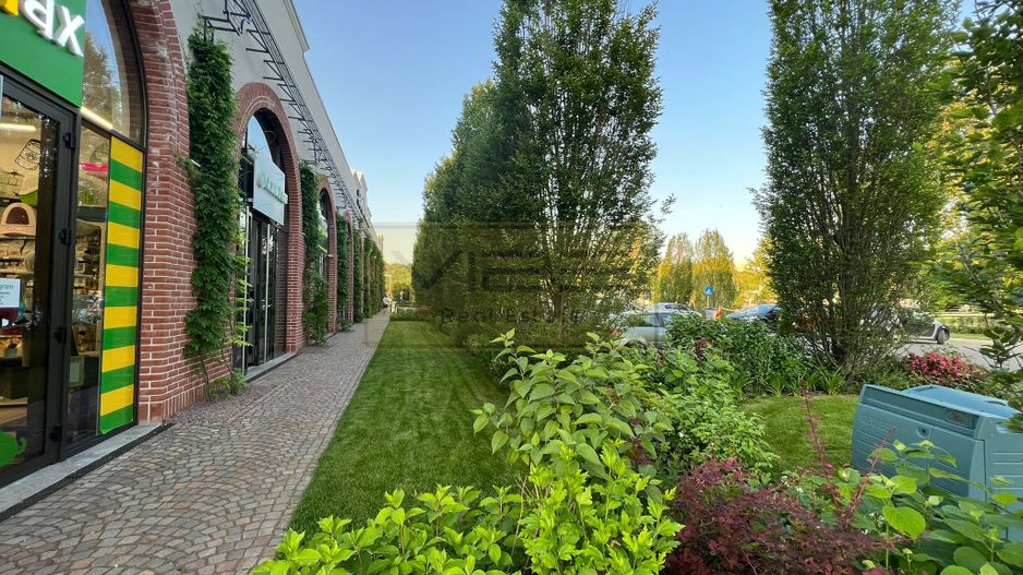 Apartament 1 camera+terasa Bucium - 10 min Family Market - Poză 30