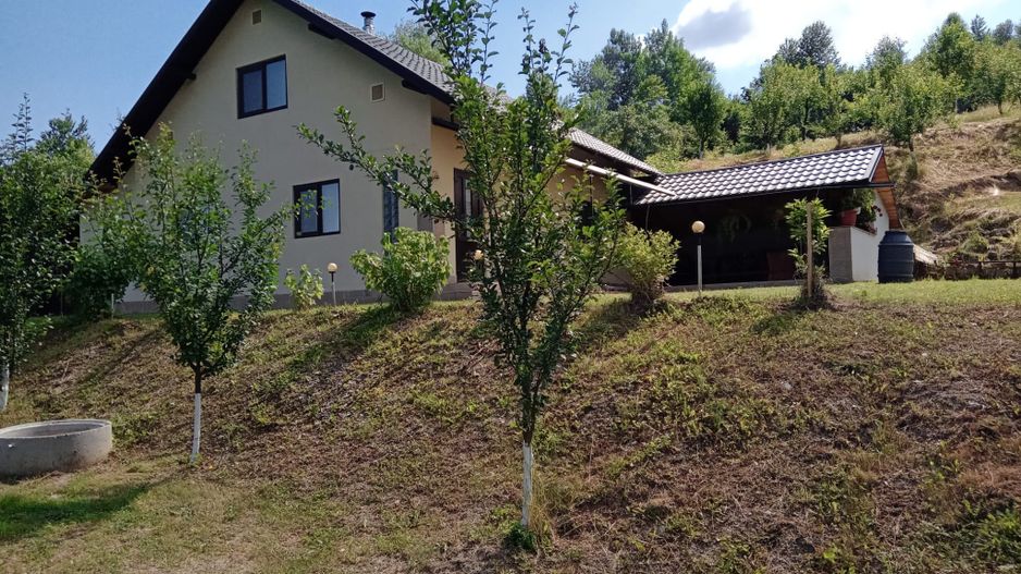 Casa si teren potential turistic Slatioara-Suceava - Poză 3