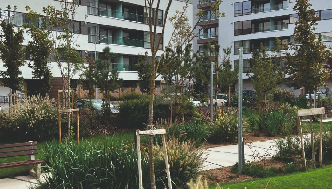 Apartament 3 camere - Poză 2