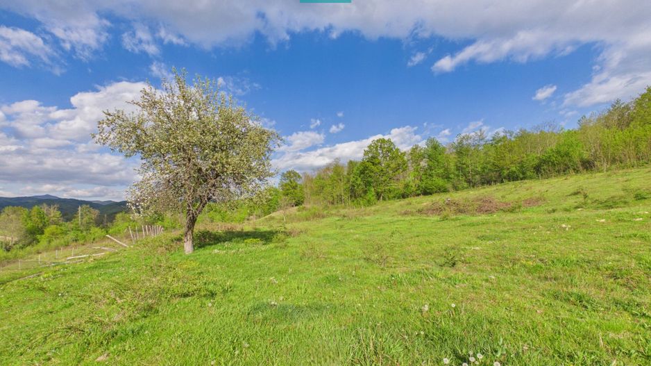 Casă cu teren de 17.681 mp, în loc. Hălmăgel, Arad - Poză 23
