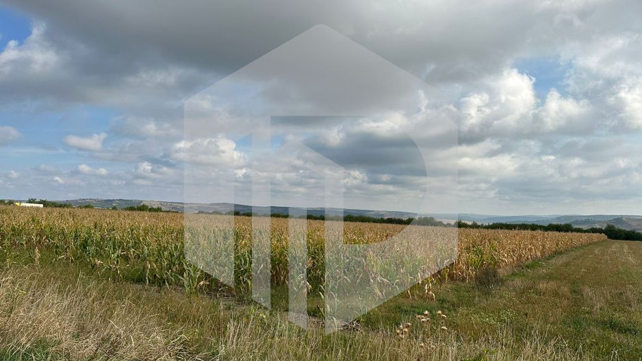 Teren cu deschidere la DN | 10.000 mp | Apoldu de Sus | Intravilan - Poză 3