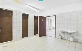 Hale 1800 mp fiecare – acces autostradă, Teiu, HD - Poză 14