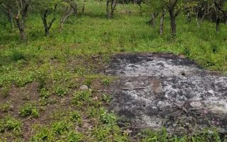 De vanzare! 3 parcele de teren intravilan - Poză 4