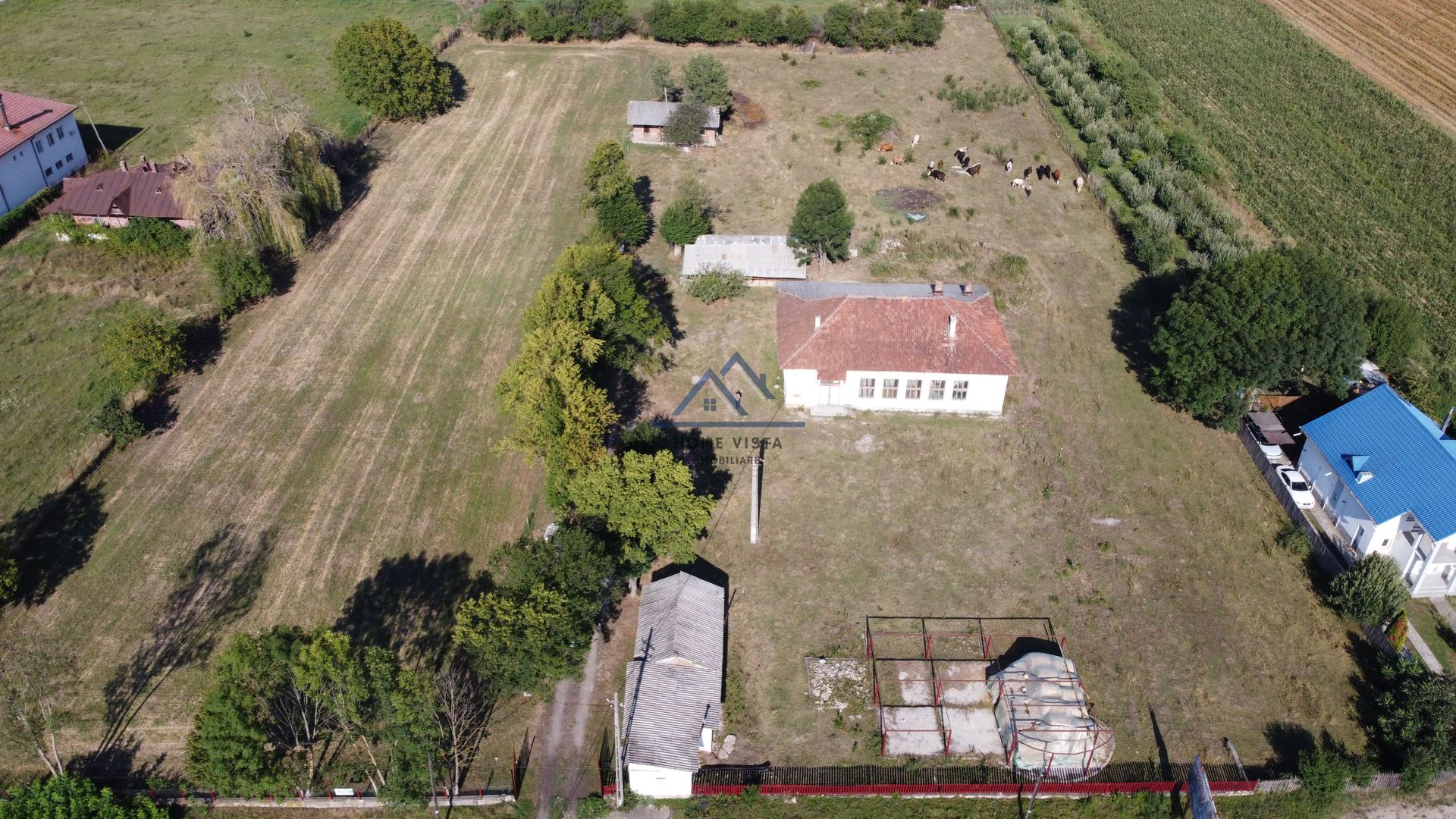 Teren intravilan de 10 614 mp cu deschidere de 59 m – Baiculesti (Comision 0%) - Poză 2