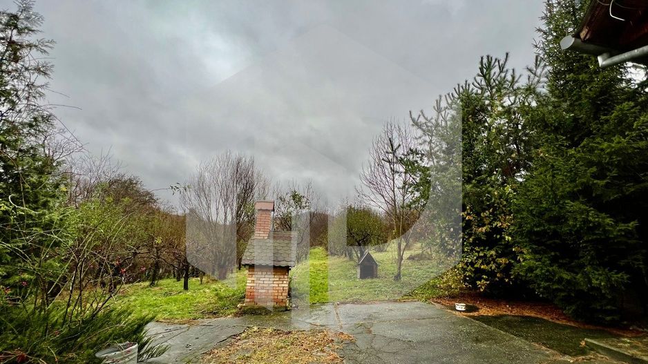 Casa de vanzare  in Talmacel-Teren 4000 mp cu livada+garaj - Poză 7