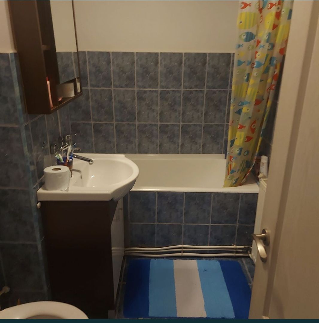 Apartament 2 camere Carpati 2 - Poză 5