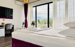 Pensiune 10 Camere | 700Mp | Valea Avrigului | Teren 4600Mp - Poză 5