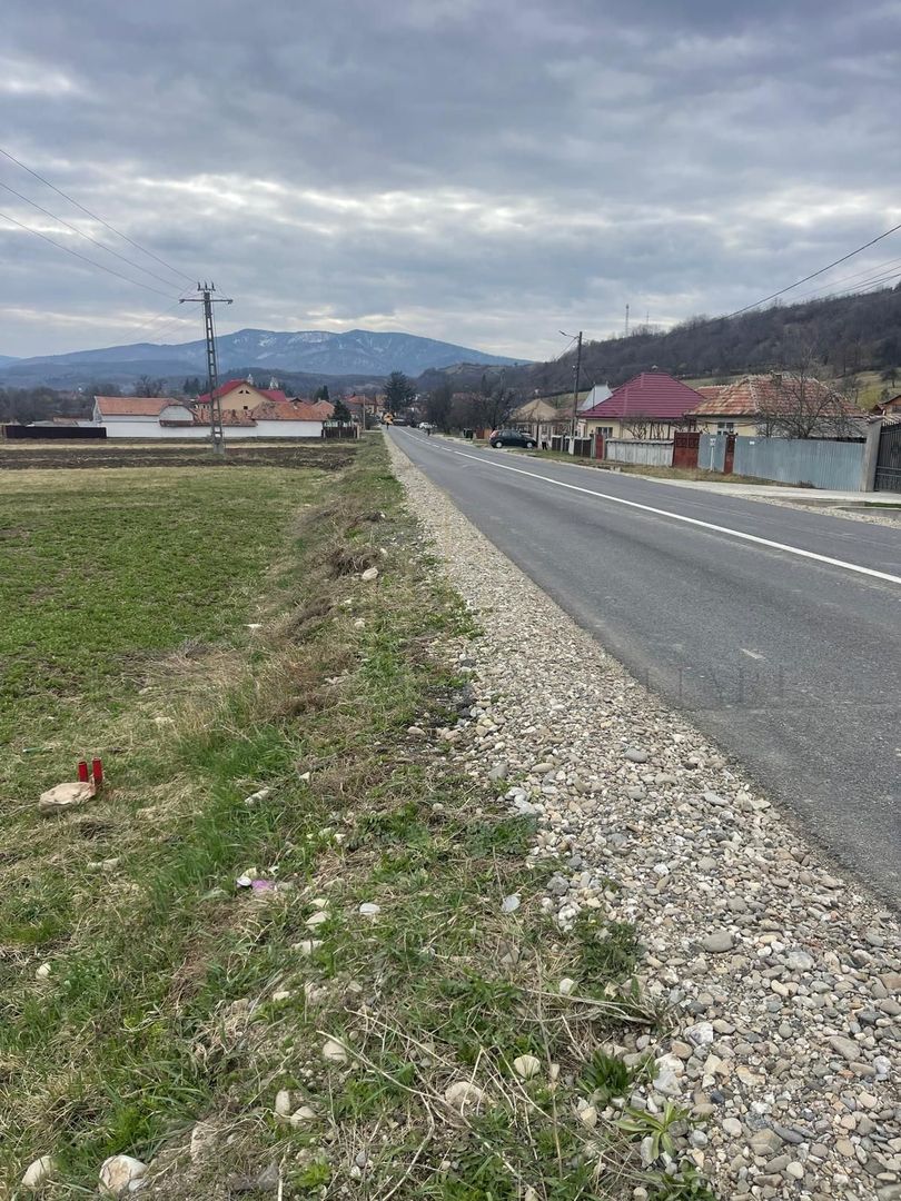 Vânzare teren 3145 mp – Mănăstirea Cașin, Onești - Poză 2