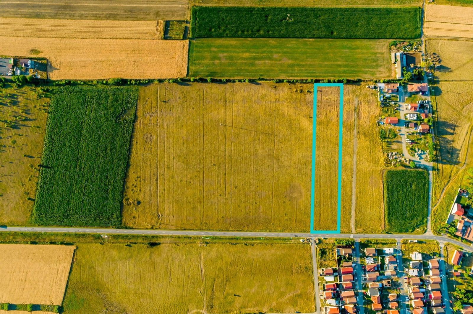 Teren de 1.3ha situat în Livada - Poză 3