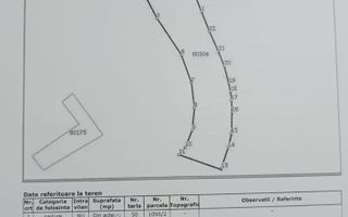 Teren cu pădure de salcâm de vânzare în Târgu Frumos, comuna Țigănași – ideal pentru apicultură - Poză 2