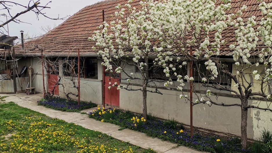 Casă cu grădină mare, aproape de Arad – preț promoțional 34.700 € - Poză 1