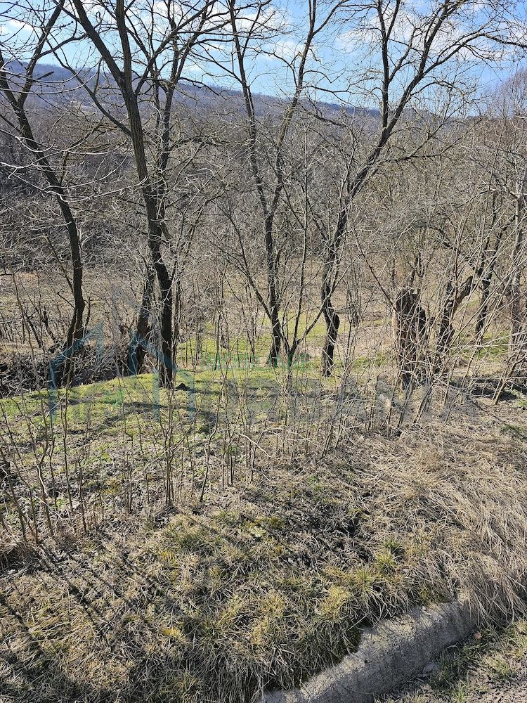Teren intravilan de 600 mp în sat Pocreaca, cu acces la asfalt, curent și apă - Poză 2