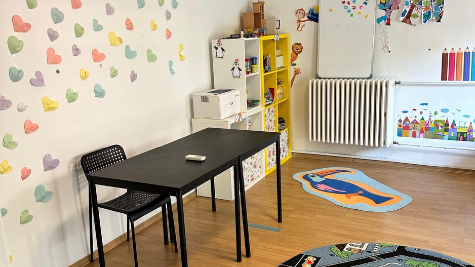 SPATIU COMERCIAL DOMENII, LOC PARCARE, CENTRALA, MOBILAT/UTILAT, CURTE - Poză 14