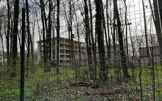 192842 mp teren in Padurea Baneasa proiect exclusivist - Poză 8