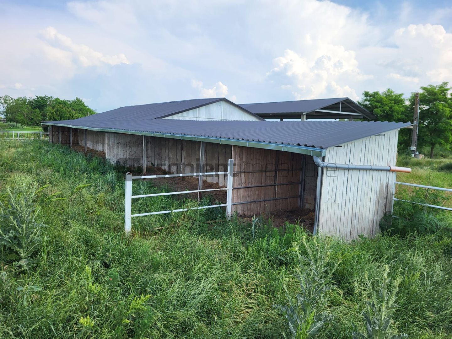 FERMA ZOOTEHNICA DE VANZARE - Poză 7