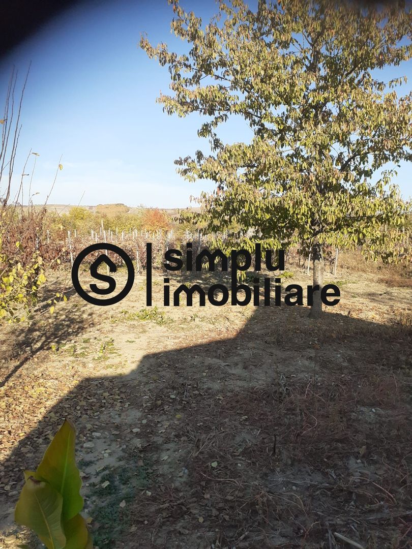 Casa Bradesti, teren 1239 mp - 29 995 Euro - Poză 2