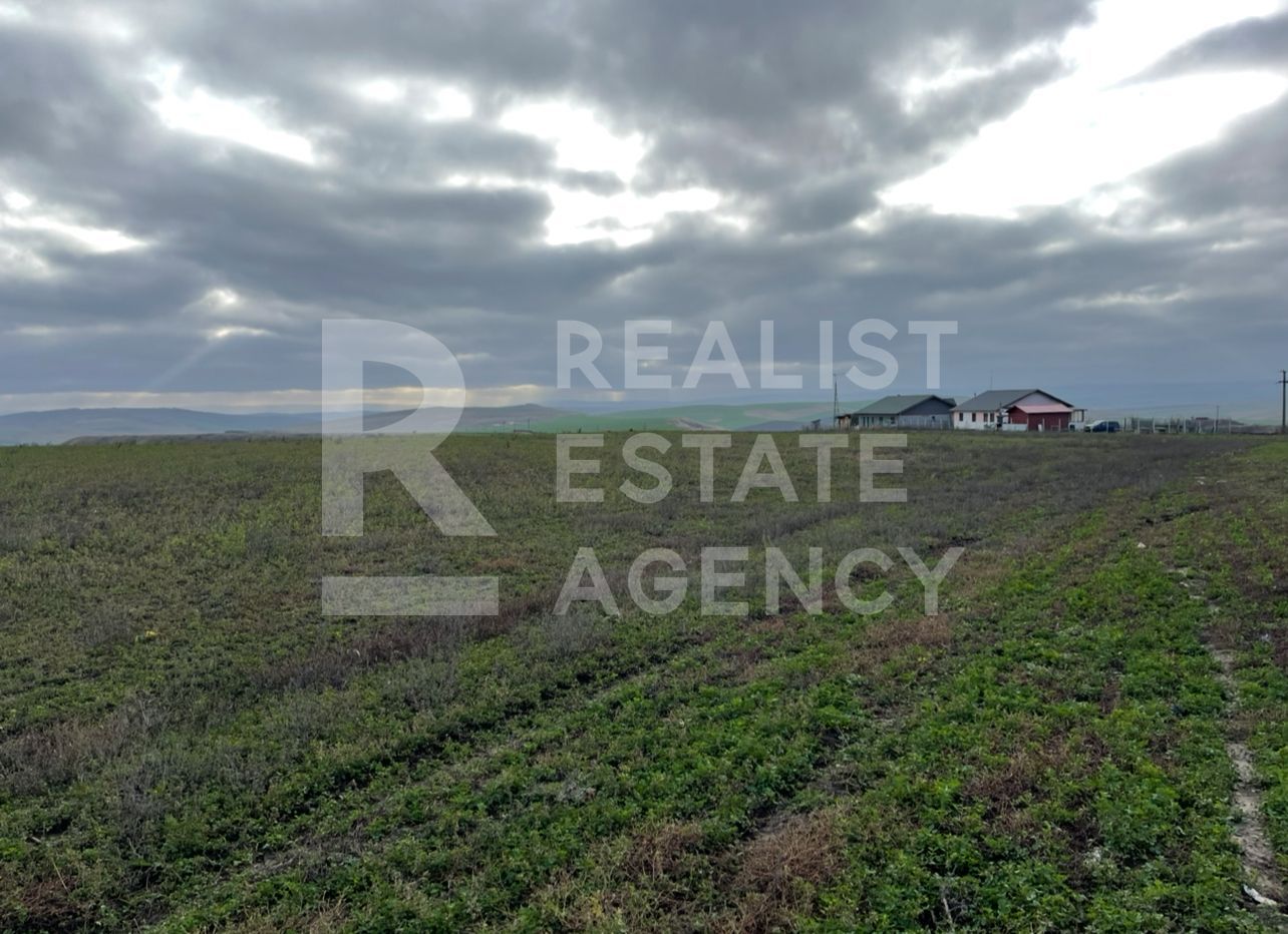 Teren 10.000 mp: 5.000 mp intravilan + 5.000 mp extravilan – Horlești - Poză 2