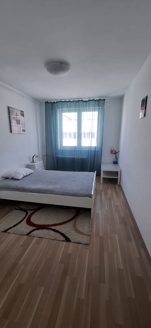 Apartament 2 camere Dristor / Park Lake / Stradal - Poză 11