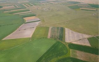 Teren extravilan în Sânnicolau Mare 14.6 ha - Poză 3