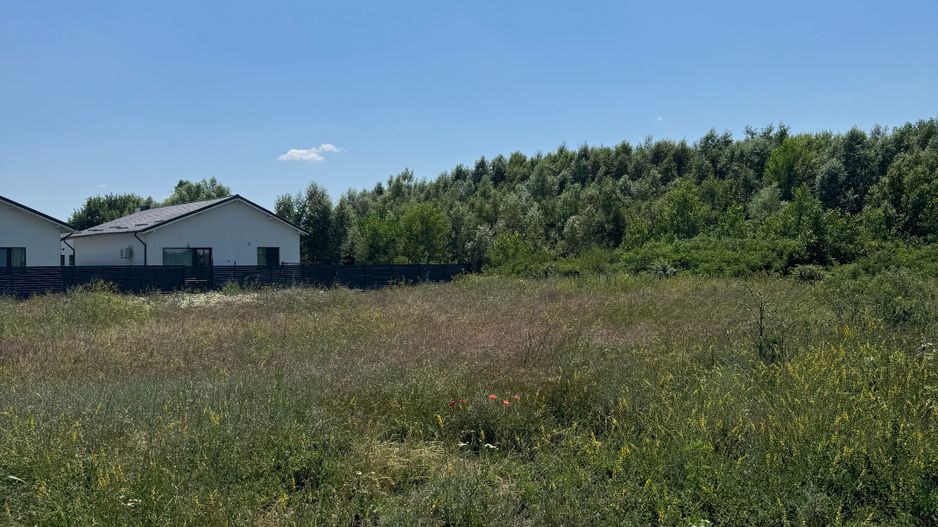 Domnesti - Strada Salciei - Teren intravilan 500 mp x 2 loturi - Poză 1