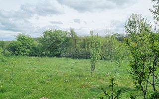 Casa cu teren 1439 mp de vanzare in Gurbediu, Bihor - Poză 10