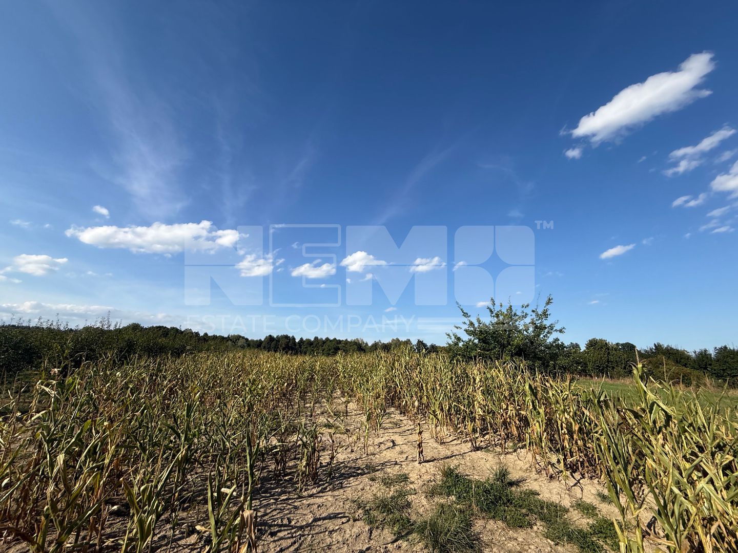 Teren intravilan Voitinel | 6.355 mp - Poză 3