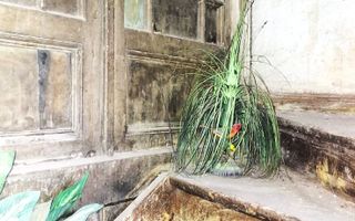 Sanctuar de Epocă: Reședință Grandioasă cu 10 Camere, Turn și Grădină - Poză 26