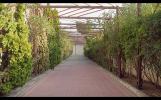 Vila 20 Camere | Pantelimon - Cernica | 4141 mp Teren | Piscina - Poză 6