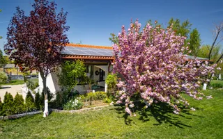 Resedinta spectaculoasa  – Vila exclusivista deschidere directa la lac - Poză 44