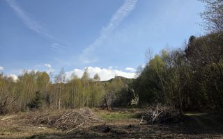 Teren intravilan de vanzare - Vistisoara - Poză 5