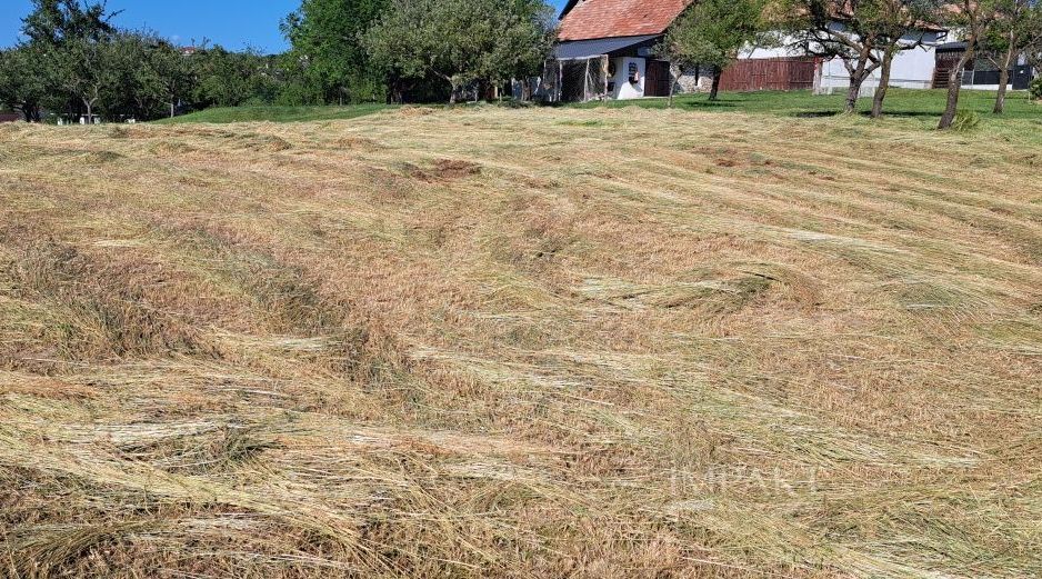 Teren Intravilan pentru Constructie | Potential Rezidențial | Feleacu - Poză 6