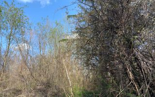 Teren Intravilan 5.147mp | Zonă rezidențială | B-dul Victoriei - Poză 4